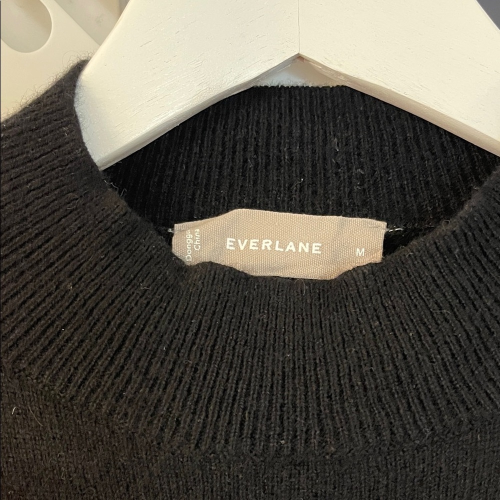 Everlane Women's Black Cashmere Mockneck Sweater